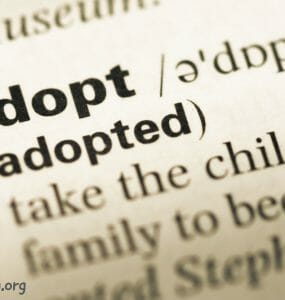 adopt adopting synonym
