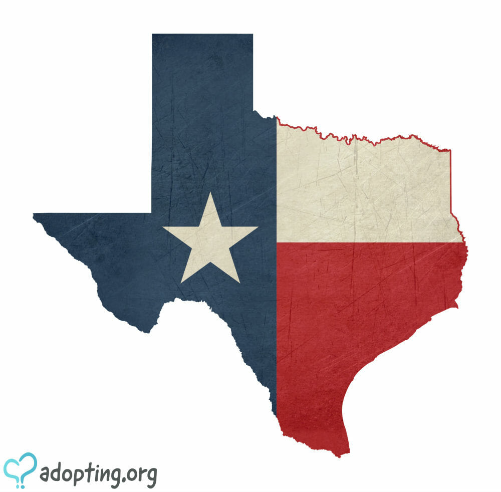 Adoption in Texas is a journey much like the adoption journeys you will see nationally. Yet, Texas, with its uniqueness and charm also has its own...