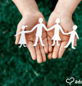 American adoptions, often referred to as domestic adoptions, have changed a great deal in the past decade. Adoptions from foster care, domestic infant...