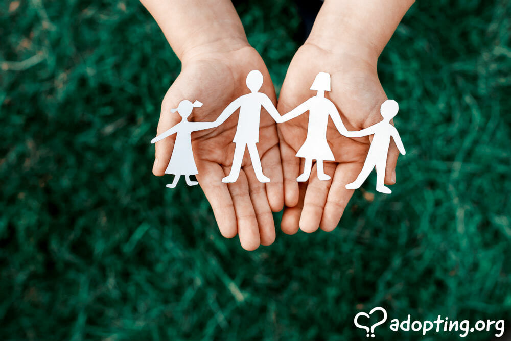 American adoptions, often referred to as domestic adoptions, have changed a great deal in the past decade. Adoptions from foster care, domestic infant...