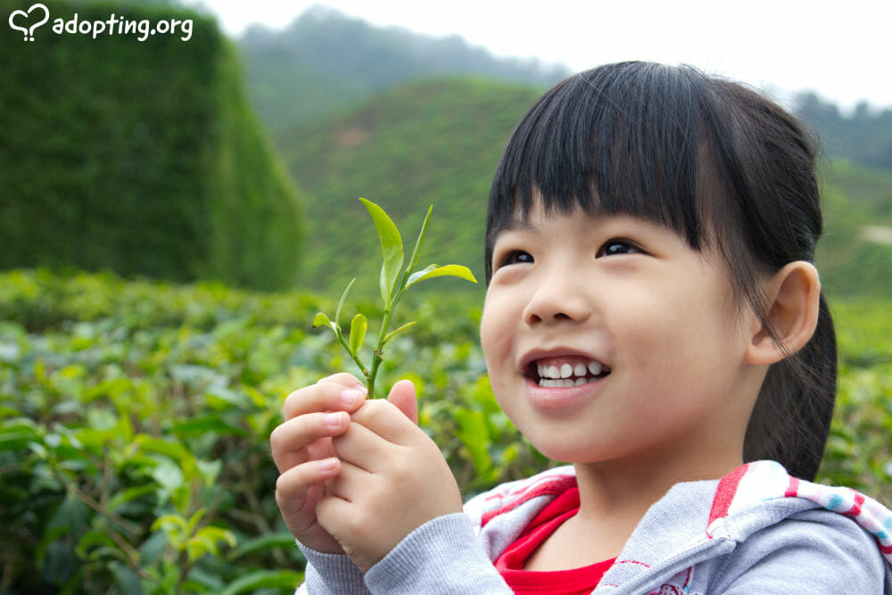 The land of tea and giant pandas used to be a hotspot for infant adoptions... Here are some things you need to know before pursuing a China adoption.